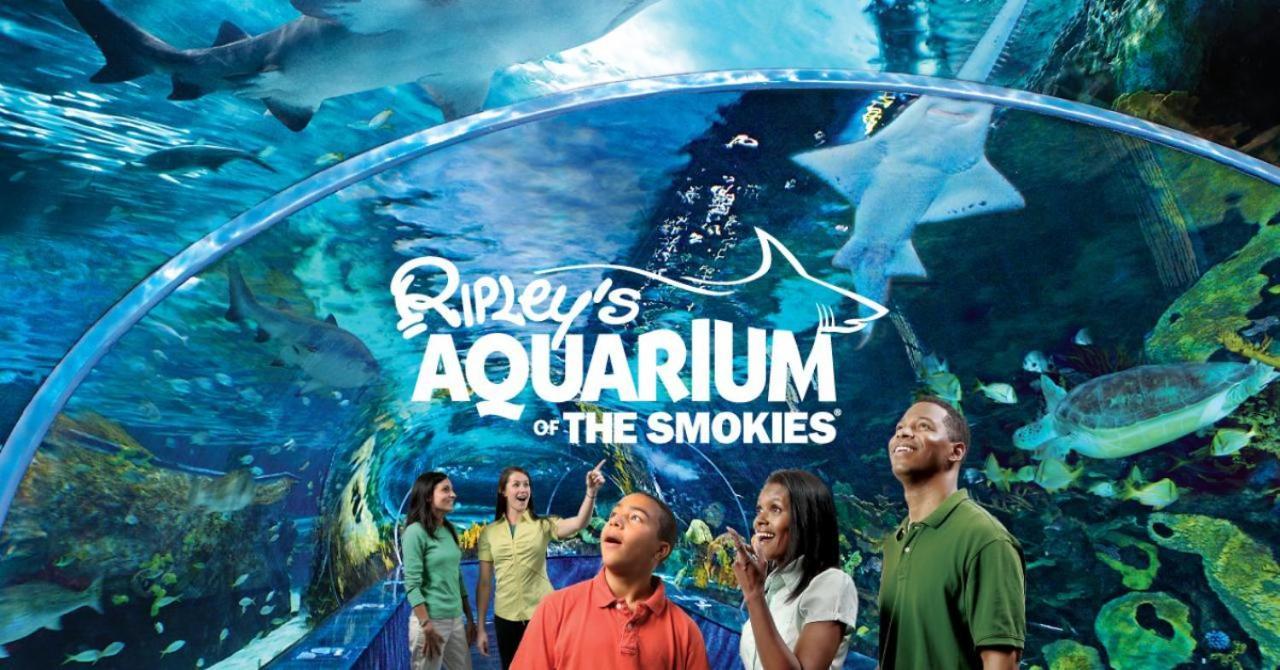 Вилла Smoky Mountain Views Гатлинбург Экстерьер фото